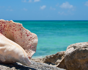 Caraïbes